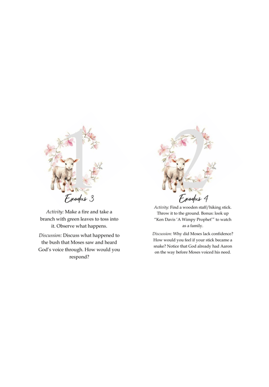 Easter Advent Cards - Chavamade