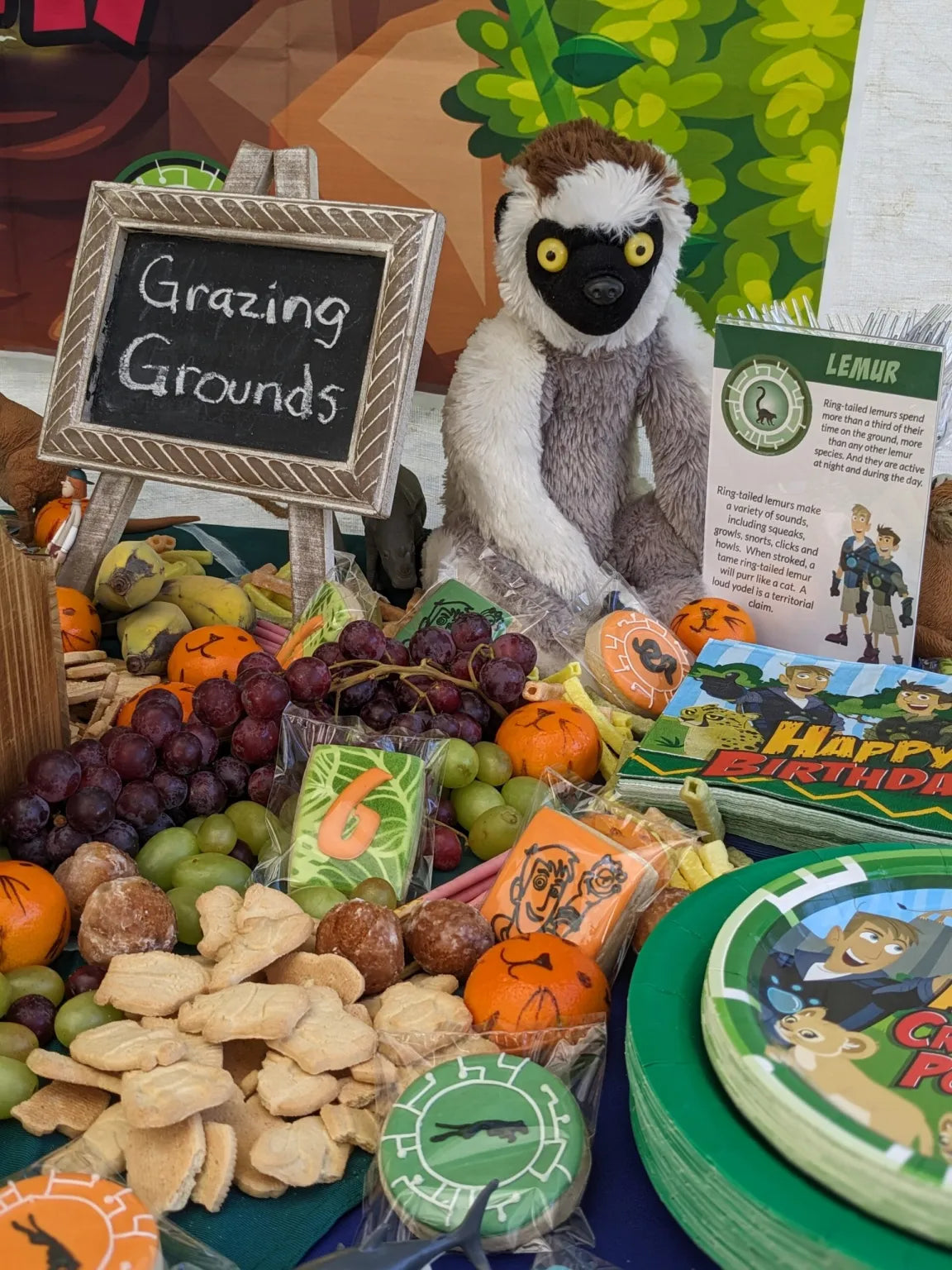 Jungle Animal Theme Party Planning and Party in a Box