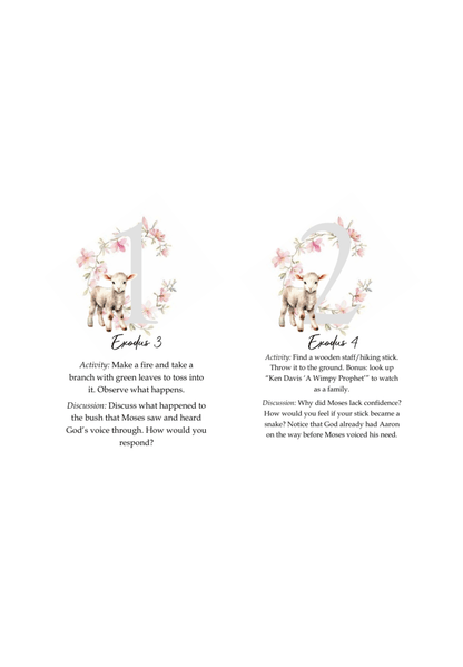 Easter Advent Cards - Chavamade