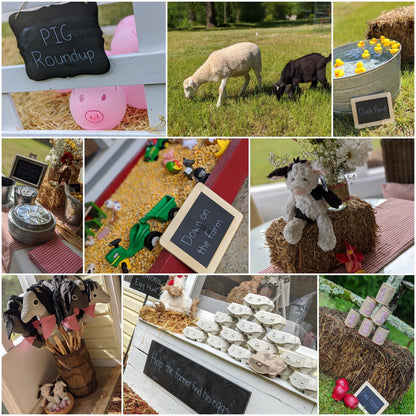 Old MacDonald's Farm Party - Chavamade
