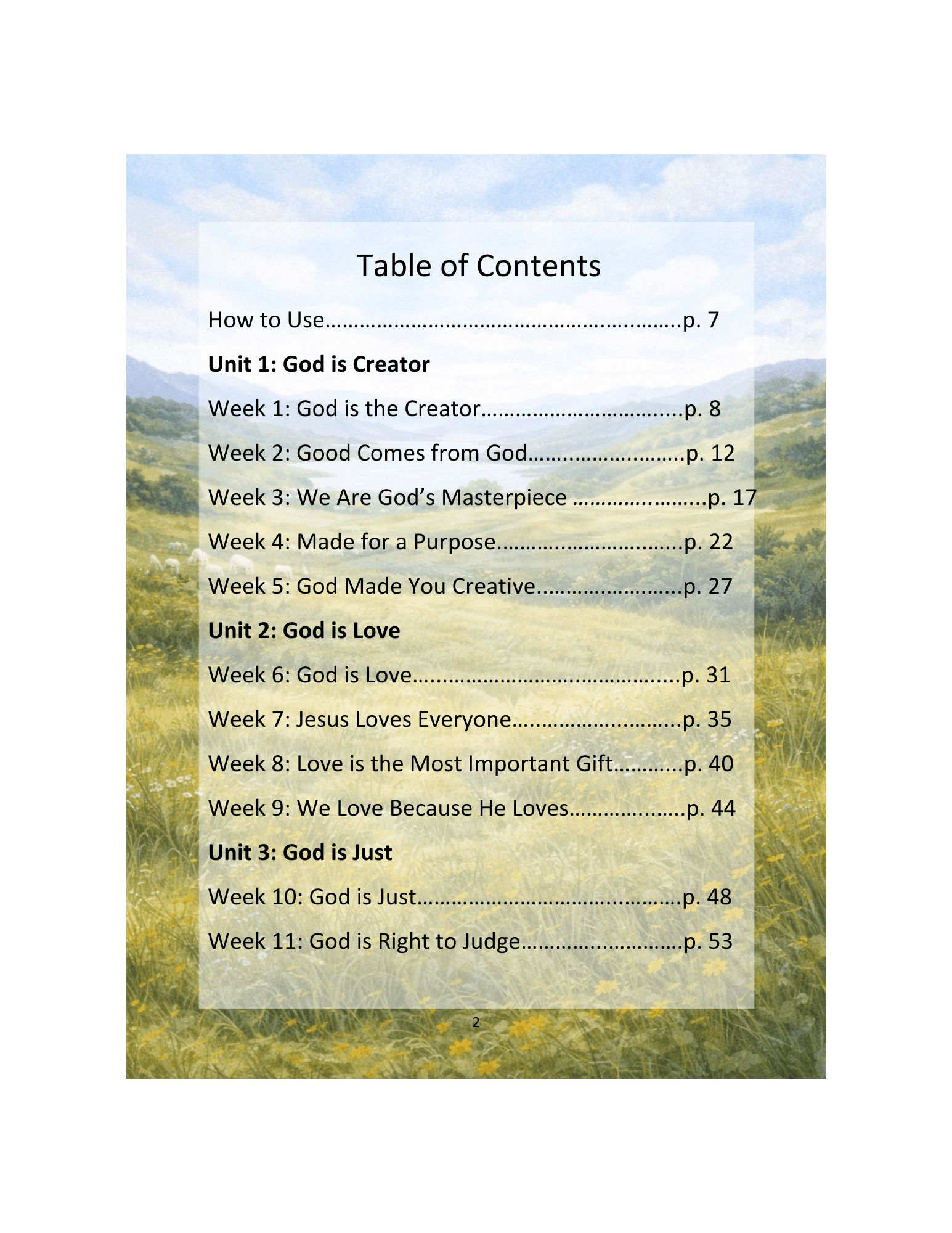 The Shepherd's Guide, Year 2 Devotional/Curriculum - Chavamade