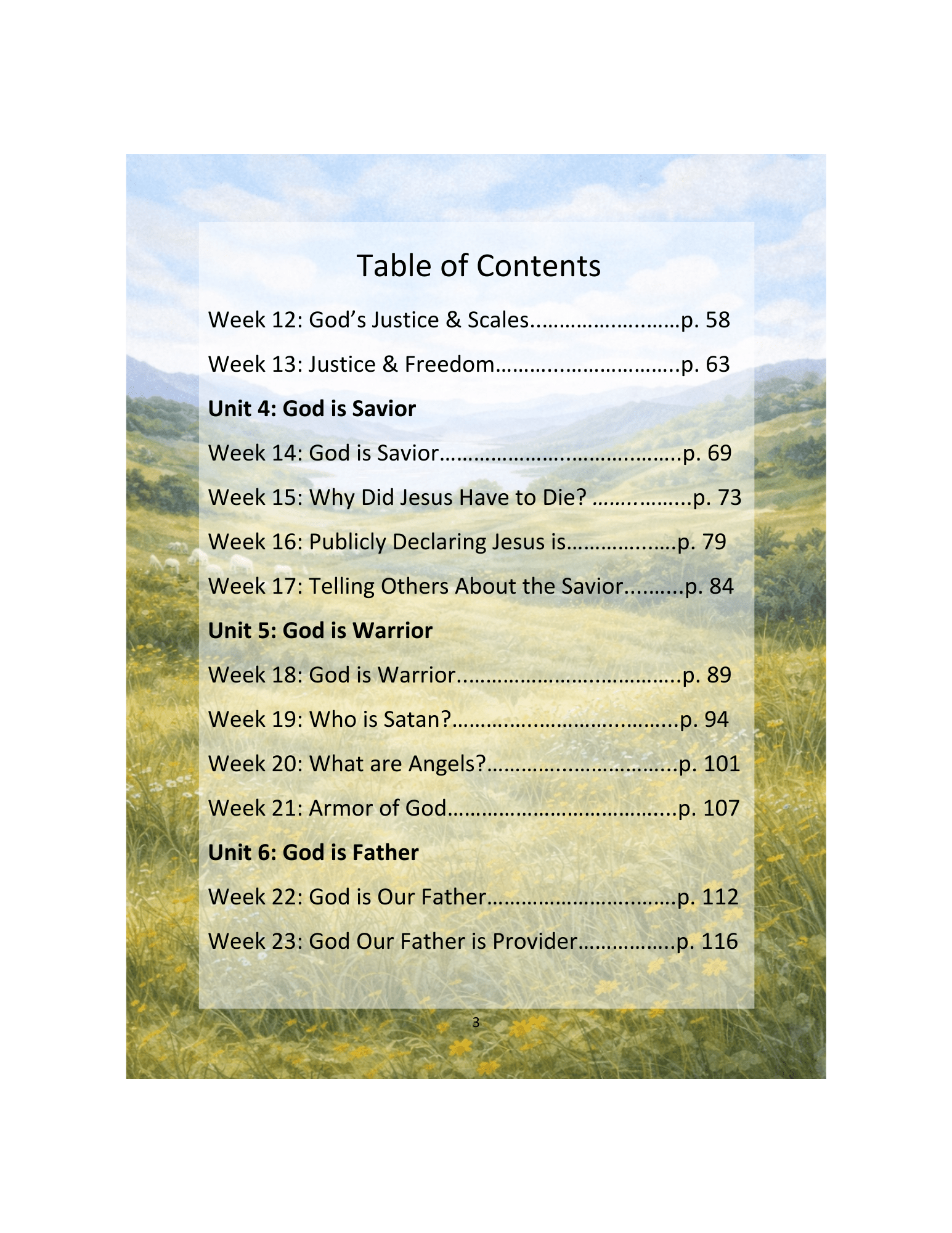 The Shepherd's Guide, Year 2 Devotional/Curriculum - Chavamade