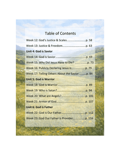 The Shepherd's Guide, Year 2 Devotional/Curriculum - Chavamade
