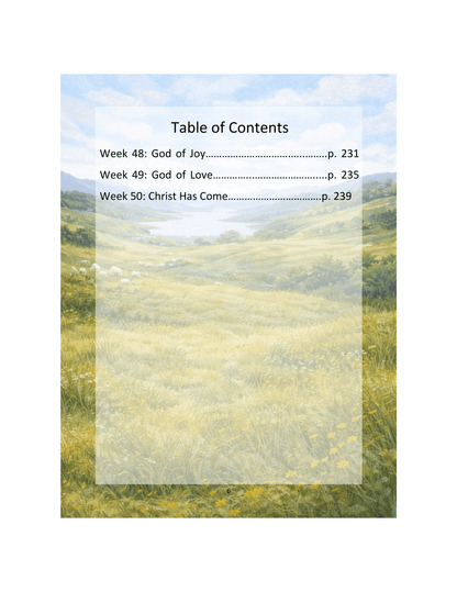 The Shepherd's Guide, Year 2 Devotional/Curriculum - Chavamade