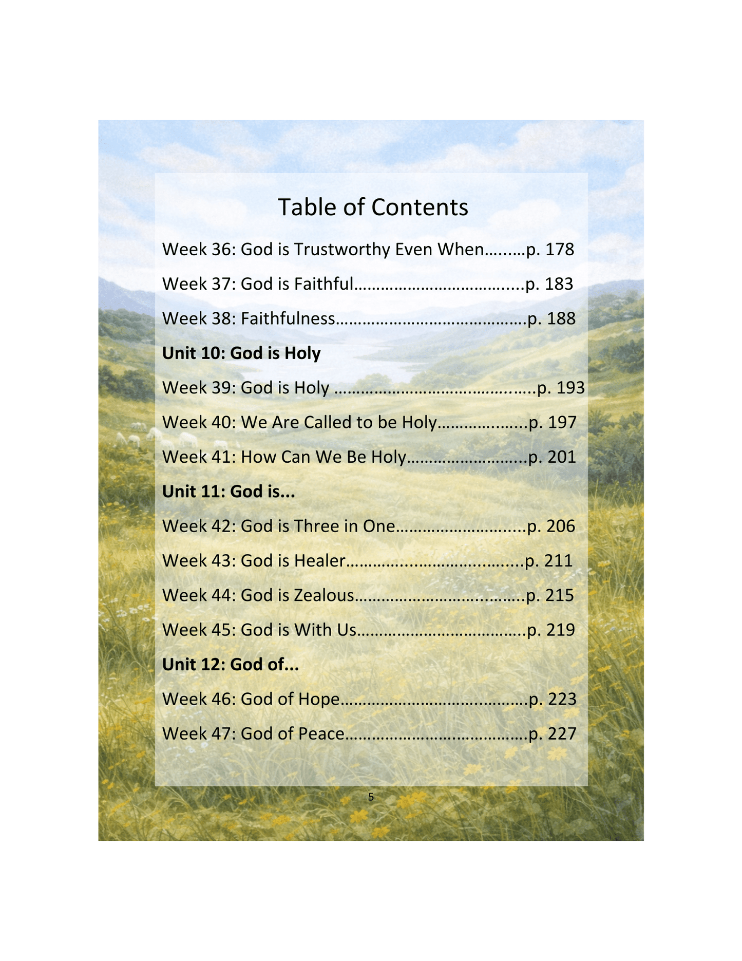 The Shepherd's Guide, Year 2 Devotional/Curriculum - Chavamade