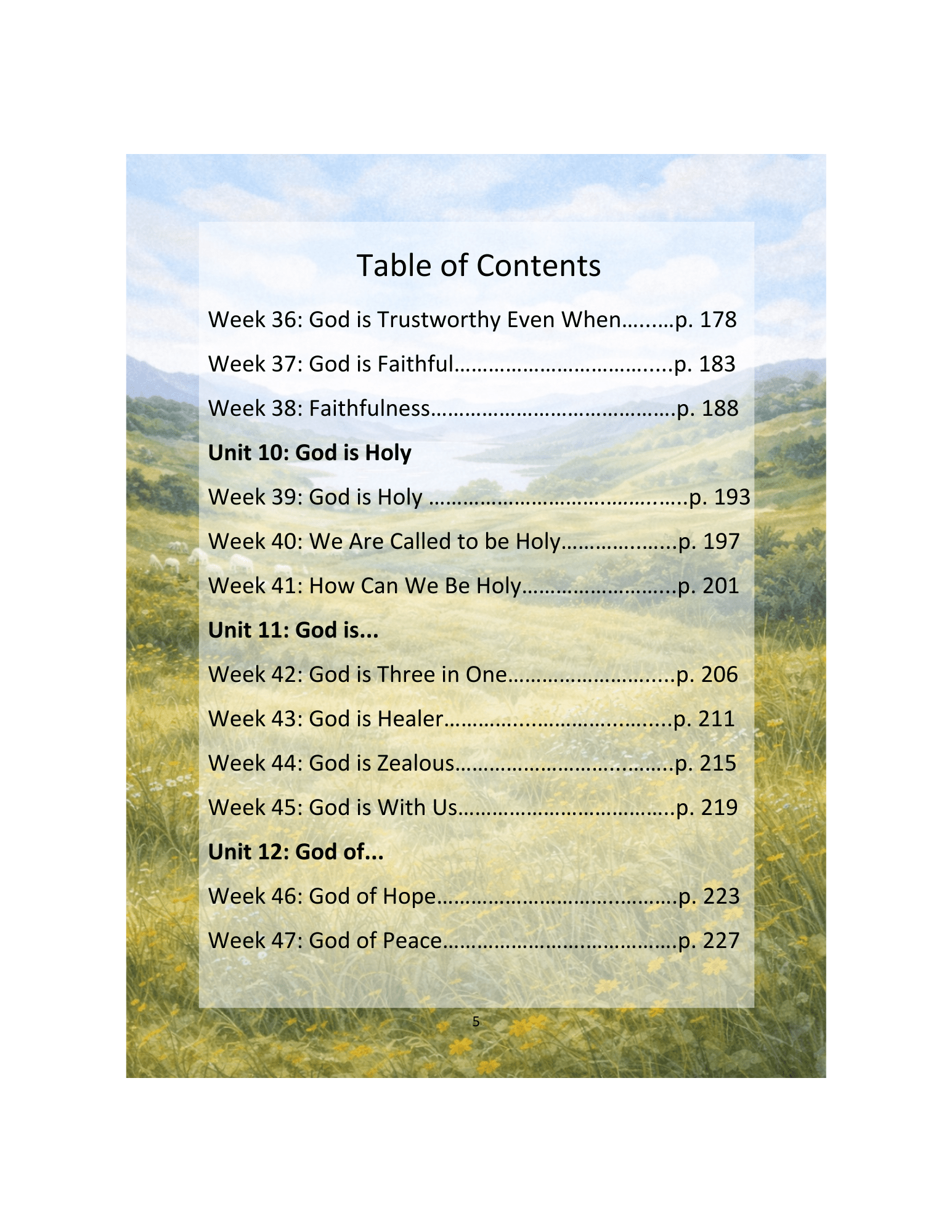 The Shepherd's Guide, Year 2 Devotional/Curriculum - Chavamade