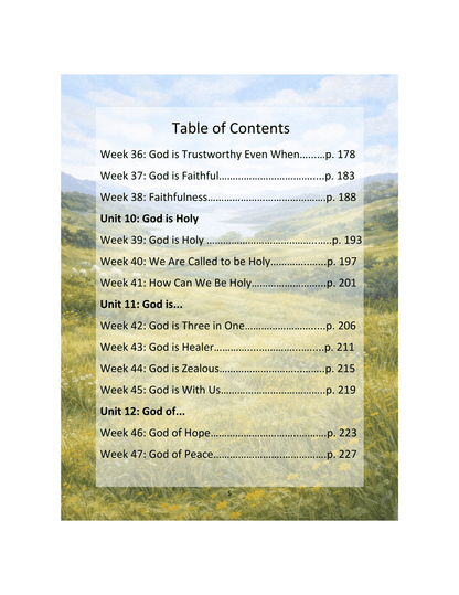The Shepherd's Guide, Year 2 Devotional/Curriculum - Chavamade