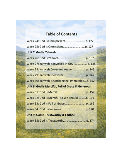 The Shepherd's Guide, Year 2 Devotional/Curriculum - Chavamade