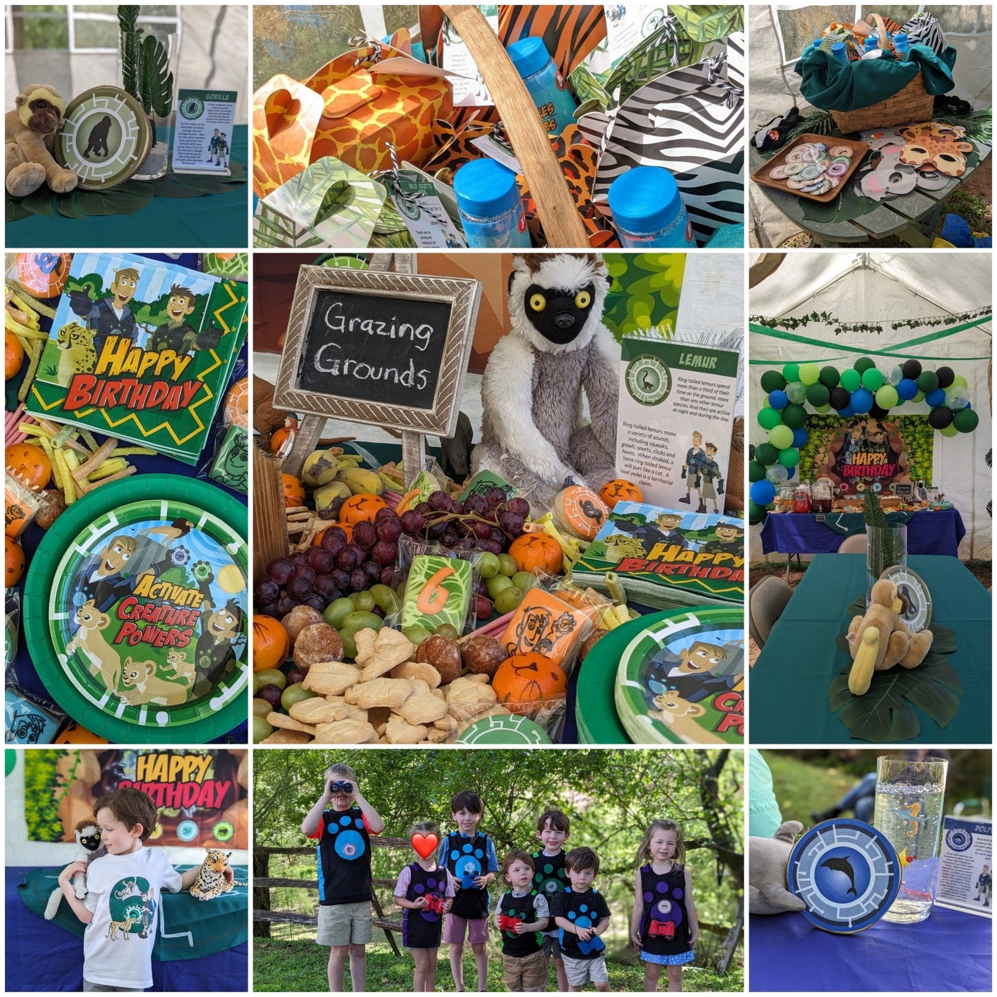Wild Kratt Party - Chavamade